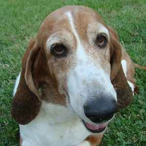 Meet your Posher, Louise